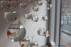 goldfish in fishbowes hanging from the side of a window with snow outside