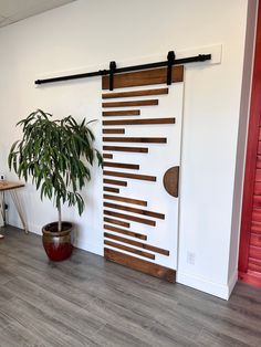 a potted plant sitting next to a wooden door with slatted design on it