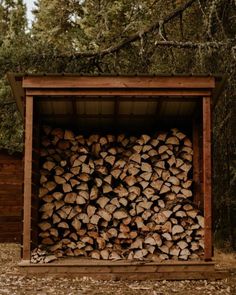 a large pile of logs sitting in the middle of a forest