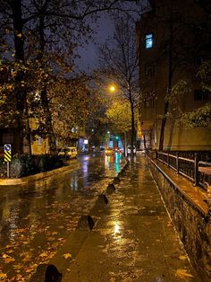 a city street at night with rain falling on the ground and trees lining the sidewalk