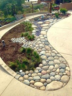 a garden with rocks and plants in it