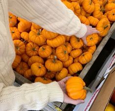 a person reaching for some pumpkins in a box