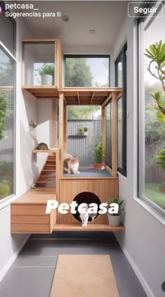 a cat sitting on top of a wooden shelf next to a window