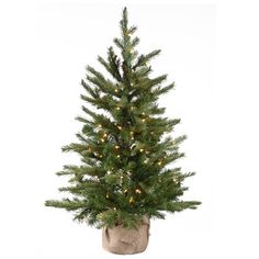 Add some holiday sparkle to your living space with this artificial Nordic Spruce Christmas tree that comes pre-strung with 100 clear lights. We love its traditional shape and the lushness of the branches that look and feel so realistic. And you’ll love the stay-lit bulbs, which means the strand stays illuminated even if one bulb burns out! Standing about 2.5’ tall, it’s a great choice for a space-conscious home or smaller room. It can even be set out on your covered porch to share your holiday c Christmas Tree Clear Lights, Slim Artificial Christmas Trees, Burlap Christmas Tree, Spruce Christmas Tree, Spruce Tree, Faux Tree, Holiday Sparkle, Holiday Christmas Tree, Artificial Tree