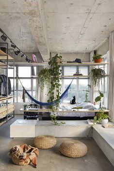 a bedroom with two hammocks and plants in the window sill next to it