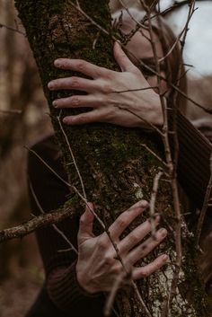 a person holding onto a tree trunk in the woods with their hands resting on it