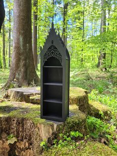 a book shelf sitting on top of a tree stump in the middle of a forest