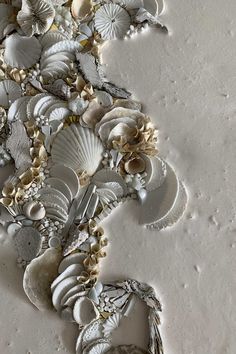 shells and seashells are arranged on a white surface with gold trim around them