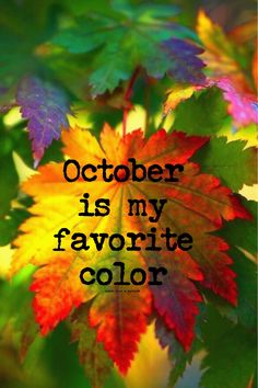 an autumn leaf with the words october is my favorite color