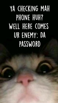 a close up of a cat's face with the words ya checking mah phone hun? well here comes ur enemy da password