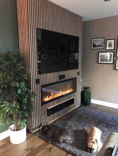 a dog laying on the floor in front of a wall mounted fireplace with an open fire place