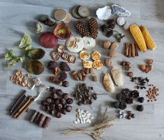 an assortment of nuts and seeds on a wooden floor with other items scattered around it