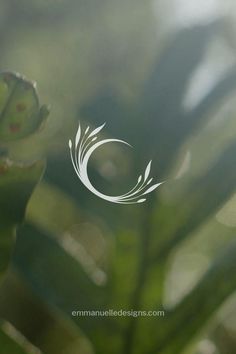 a close up view of a plant with blurry leaves in the foreground and an emanated design on the background