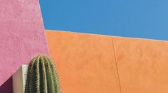 a tall cactus sitting next to a pink and orange building with a blue sky in the background