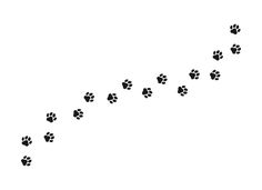 a dog's paw prints are shown in the shape of a long line on a white background