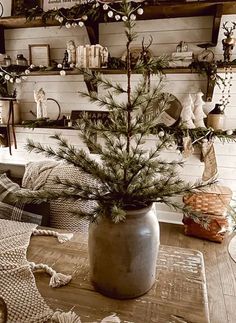 a potted plant sitting on top of a wooden table