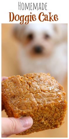 a person holding up a cookie in front of a white and brown dog with the words homemade doggie cake on it