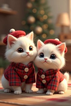 two white kittens dressed up in plaid clothes