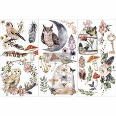 an assortment of birds, flowers and other things on a white background with watercolors