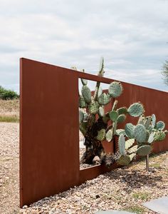 a cactus is growing out of the side of a metal wall in an arid area