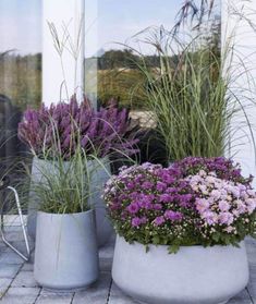 three planters with purple flowers in them sitting on a brick floor next to a building