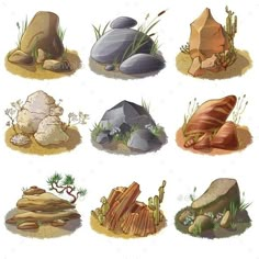 rocks and plants in the desert - miscellaneous illustrations