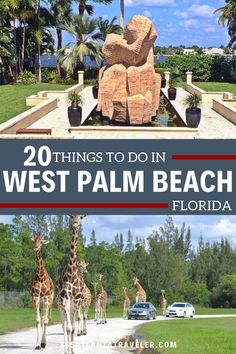 palm trees and giraffes are featured in this postcard with the words 20 things to do in west palm beach florida