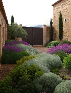 a garden with purple and green plants in front of two buildings on the other side