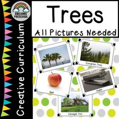 an image of trees and pictures needed to describe the different things in the picture below