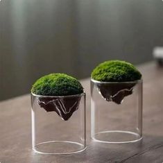 two glass vases with moss in them sitting on a table