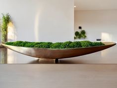 a bowl filled with green moss sitting on top of a table