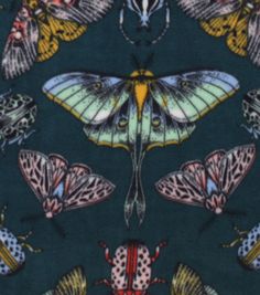 the moths are all different colors and patterns on this blue background, with yellow accents