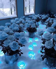 several vases filled with white roses sitting on top of snow covered ground next to windows