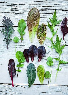 several different types of leafy greens laid out on a wooden surface