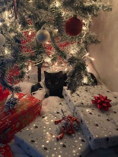 a black cat sitting under a christmas tree with presents on the ground and wrapped in white paper