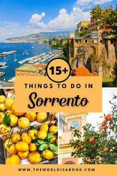 an orange tree with the words 15 things to do in sorrento