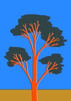 an orange tree with no leaves on it in front of a blue sky and brown ground