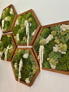 four wooden trays filled with green and white flowers on top of a wall next to each other