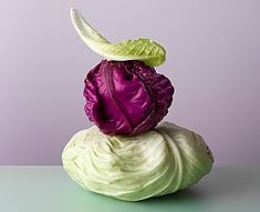 cabbage on top of another cabbage in front of a purple background