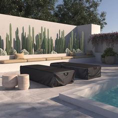 an outdoor area with a pool, bench and cactus wall