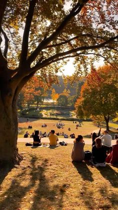 people are sitting on the grass in front of a tree and some trees with orange leaves