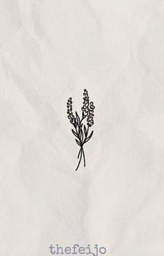 a drawing of lavender on white paper with the words, theyfajo above it