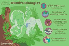 an info sheet with information about wildlife and habitat conservation in the wild life biologist