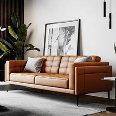 a living room with a couch, coffee table and potted plant