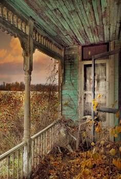 an old wooden porch with vines growing on it