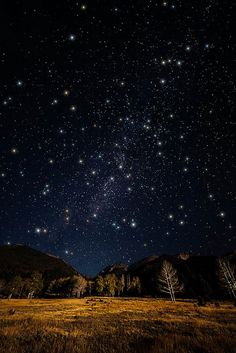 the night sky with many stars above mountains and trees in the foreground, as well as