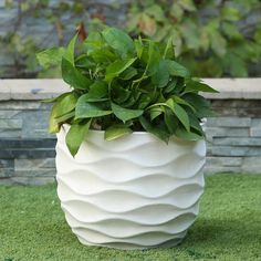 a white planter sitting on top of a green grass covered ground next to a stone wall