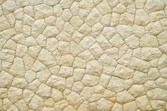 the texture of an elephant's skin is made up of small, white rocks