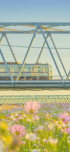 a train traveling over a bridge with flowers in the foreground