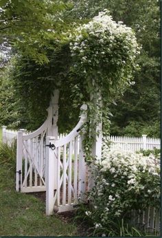 a white gate surrounded by flowers and greenery